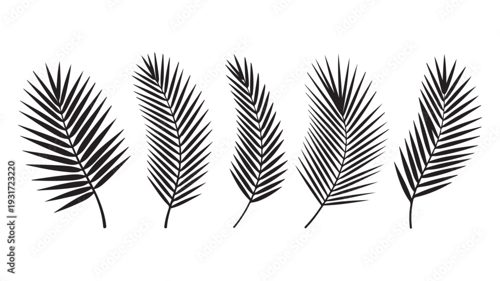 Fototapeta premium Black silhouette palm leaf set isolated on white backdrop tropical foliage vector graphic elements