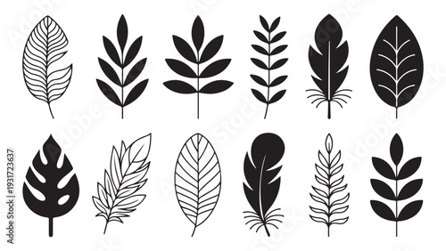 Minimalist leaf and feather silhouettes set featuring diverse botanical and bird plumage art forms