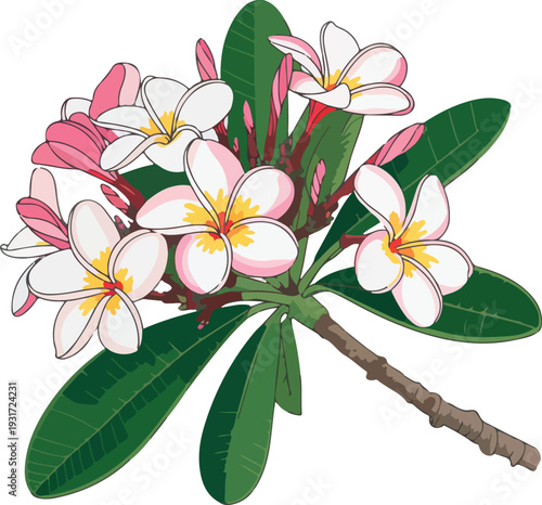 Realistic vector bouquet of plumeria and orchid flowers, detailed scalable EPS botanical illustration design.