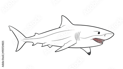 Realistic line drawing of a great white shark captures the sleek form and powerful appearance of this apex marine predator in profile view.
