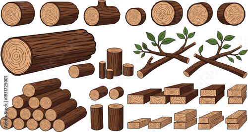Wood Logs, Timber Trunks and Cut Lumber Pieces Collection with Tree Branches and Firewood Elements Hand Drawn Vector Illustration Set