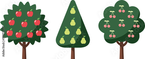 Fruit tree collection with apple, pear and cherry trees, flat vector illustration isolated on light background for orchard and garden design