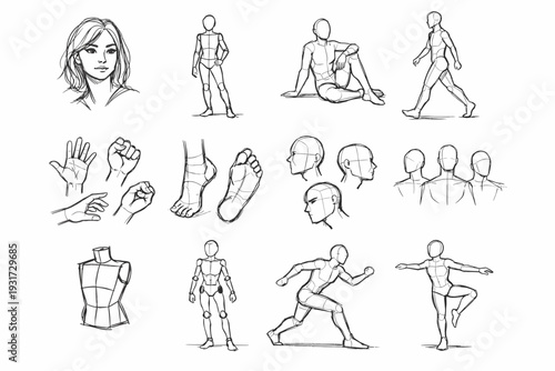 Casual image study generation simple icon pose sitting stance limb balance vector