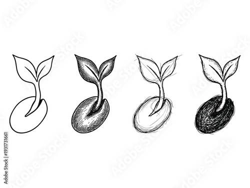 Seed Growth Stages Doodle Progression Business Concept