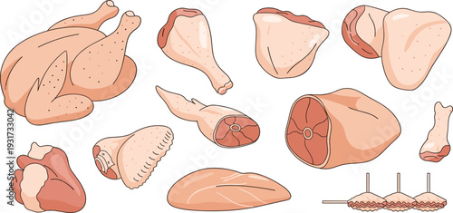 Raw Chicken Meat Cuts Vector Illustration Set with Whole Chicken Breast Thigh Drumstick Wing and Ham Pieces