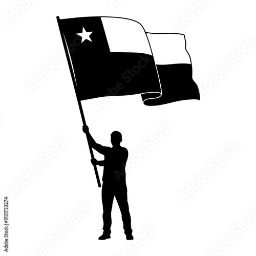 Silhouette of a person waving a two-tone flag on a windy day, dramatic and expressive.