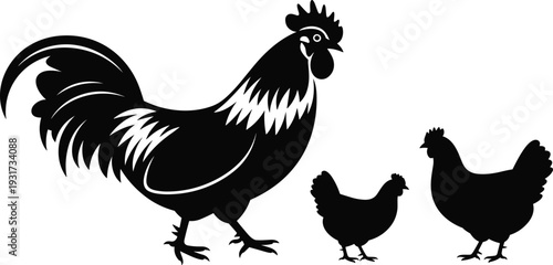 Rooster and hens silhouette poultry farm birds black vector illustration isolated on white background agriculture concept