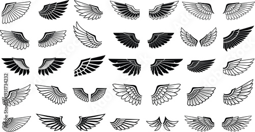 Black and White Angel Wings Collection with Different Feather Styles Spread Flying and Heraldic Wing Vector Illustration Set