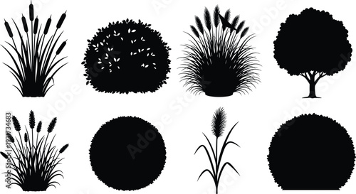 Vector illustration of plant and tree silhouettes with cattails, ornamental grasses, bushes, deciduous tree, garden landscaping elements, botanical design collection