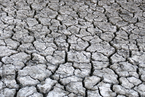 Deep splitting and cracking of the soil as a result of the decrease in near-water levels,