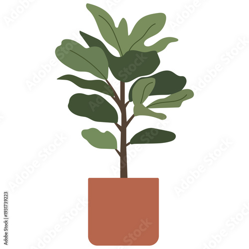 potted fiddle leaf fig plant with large green leaves