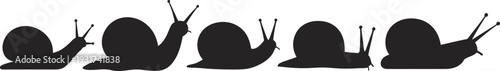 Snail silhouettes collection, black vector illustration, crawling posture variations, antennae detail, nature design, wildlife art, minimalistic style, educational pattern