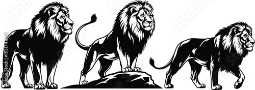 Powerful lion silhouettes vector set isolated on white background, majestic wild animal illustrations for logo branding design