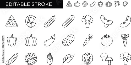 Editable stroke vegetable line icon set with pumpkin broccoli cucumber eggplant carrot and fresh organic food outline symbols isolated on white background