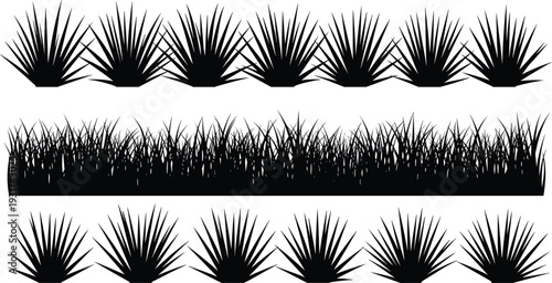 Black agave and grass silhouettes vector collection isolated on white background, decorative botanical border elements for landscape design