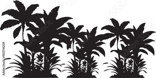 Silhouette of lush tropical palm trees and exotic plants against a white background.