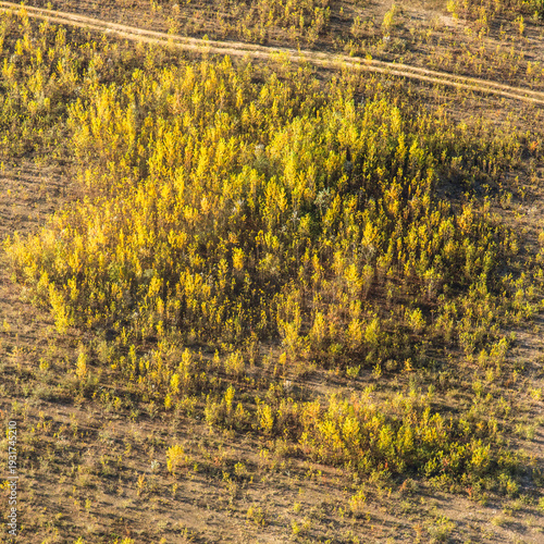 Vue aérienne d'une forêt à l'automne à Verneuil sur Seine en France