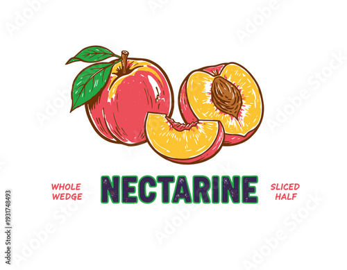 Nectarine fruit set design. Whole wedge sliced half artwork. Organic healthy food graphic. Local fruit market artwork for t shirt print, poster, stick