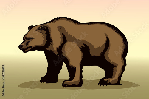 Vector drawing. Cute big bear