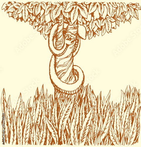 Vector drawing. Snake on the tree
