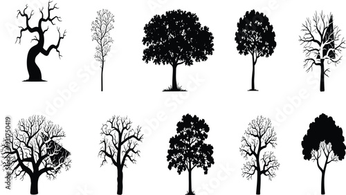 Black Tree Silhouettes Vector Set Featuring Oak Maple and Bare Winter Branches Isolated on White Background for Nature Landscape Design and Spooky Halloween Projects