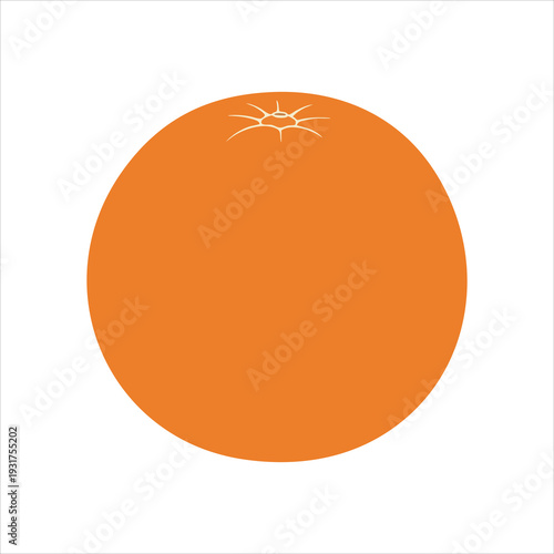 illustration of an orange fruit