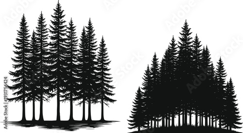 Forest Pine Woodland Evergreen Timber Spruce Fir Conifer Wilderness Nature Grove Landscape Silhouette Trees Alpine Taiga Natural Scenic Park Woodlandscape Habitat