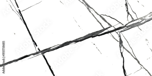 Abstract black and white marble texture with intersecting dark veins on a bright surface