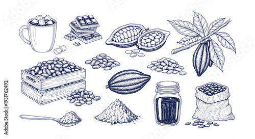 Hand Drawn Cocoa Beans Pods Chocolate Products Hot Drink Sketch Elements Set