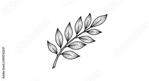 White Leafy Branch Texture on Black Background Isolated Design Element