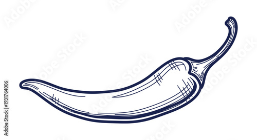 Spicy Hot Chili Pepper Hand Drawn Vector Illustration Organic Food Ingredient Sketch Outline