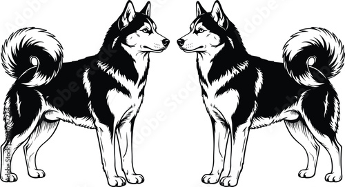 Black silhouette of two male wrestlers in a match, competitive wrestling athletes in grappling pose, sports combat icons on white background,