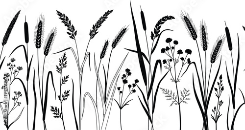 Black silhouette of wild meadow flowers wheat ears and field grass border for nature background summer floral design and botanical illustration
