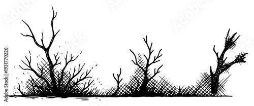 Old dry grass and wild bushes hand drawn sketch