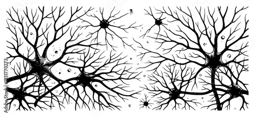 Neuron system synapse network hand drawn illustration