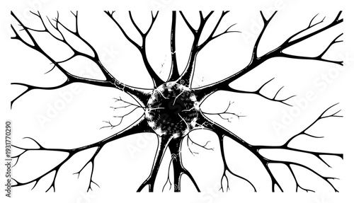 Vintage style hand drawn neuron cell illustration