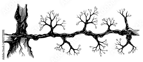 Engraving style hand drawn branching root or vine pattern