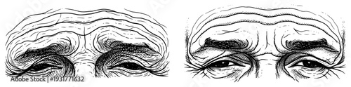 Old wrinkled eyes and forehead hand drawn sketch