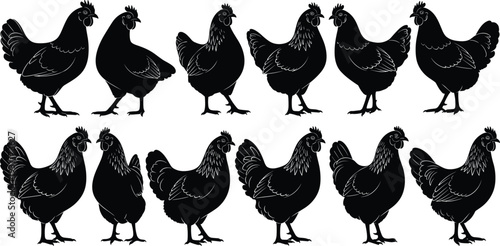 Twelve black chicken silhouettes arranged in rows, showcasing poultry side profiles with varied postures and feather details for farming, education, pattern design, and artwork concepts