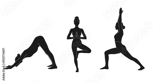 Three women practicing yoga in various poses, showcasing flexibility and balance in a serene environment from a straightforward viewpoint, Whisk eps file reference