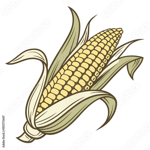 Golden corn cob with partially peeled husk corn on the cob