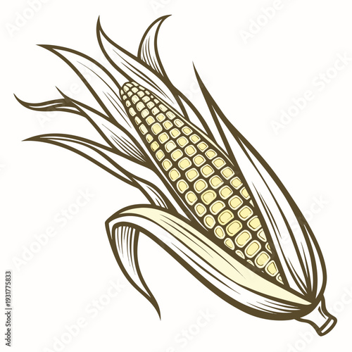 Golden corn cob with partially removed husk and leaves 1