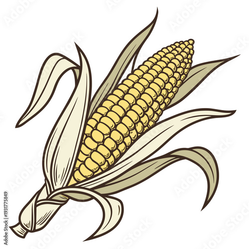 Golden corn ear with husk and leaves isolated on white