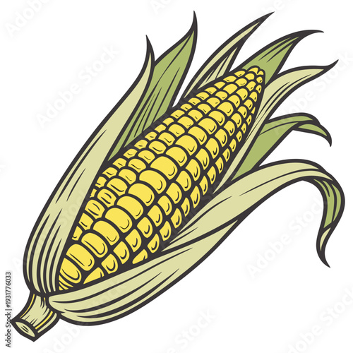 Corn on the cob with partially peeled back husk and leaves