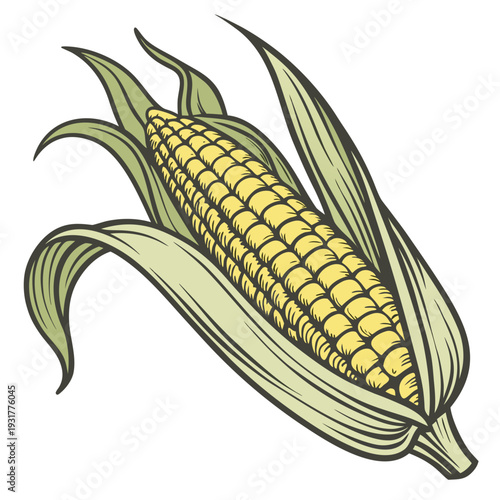 Corn on the cob with partially removed husk and leaves