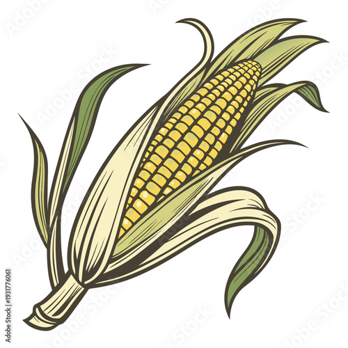Golden corn with partially open husk and detailed kernels 1