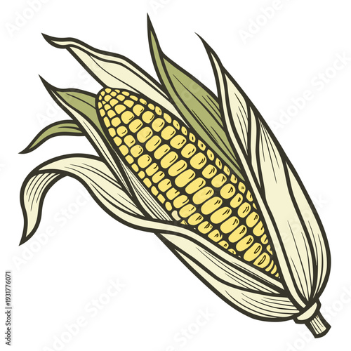 Detailed ripe corn ear with partially removed husk and leaves