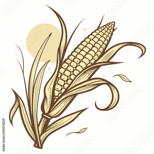 Golden corn ear with leaves and natural curve ear of corn