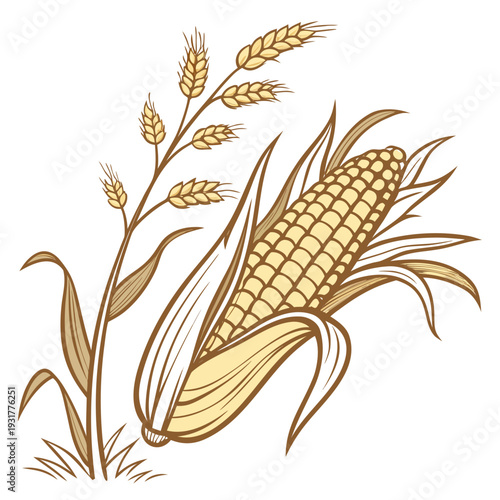 Golden corn ear with husk and leaves and wheat ear of corn