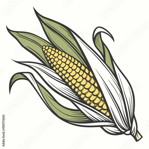 Partially husked yellow corn on the cob with green leaves 1